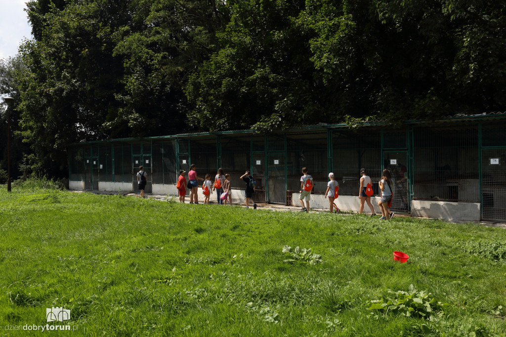 Cyrkowe Lato w Teatrze z WOAK-iem