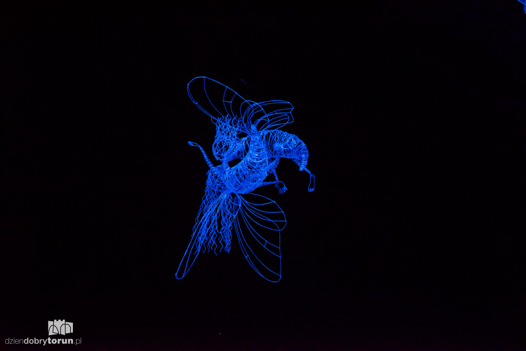 Bella Skyway Festival 2018 rozpoczęty