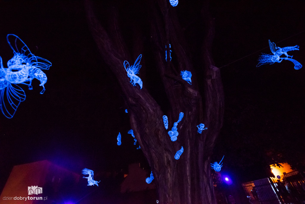 Bella Skyway Festival 2018 rozpoczęty