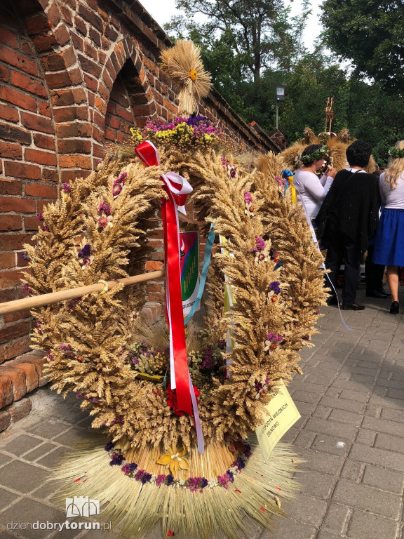 Wojewódzkie święto plonów w Wąbrzeźnie
