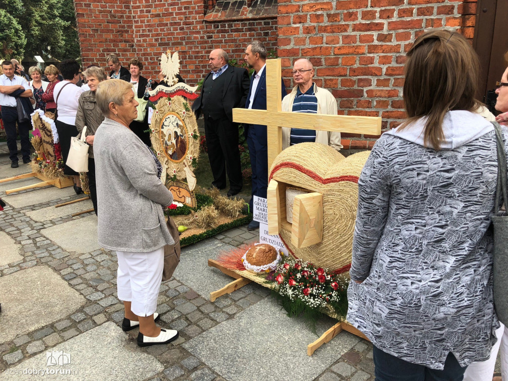 Wojewódzkie święto plonów w Wąbrzeźnie