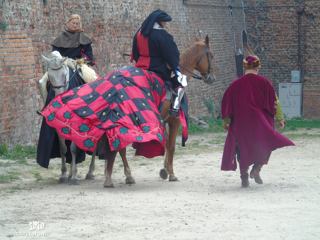 Festyn historyczny - Medievalia