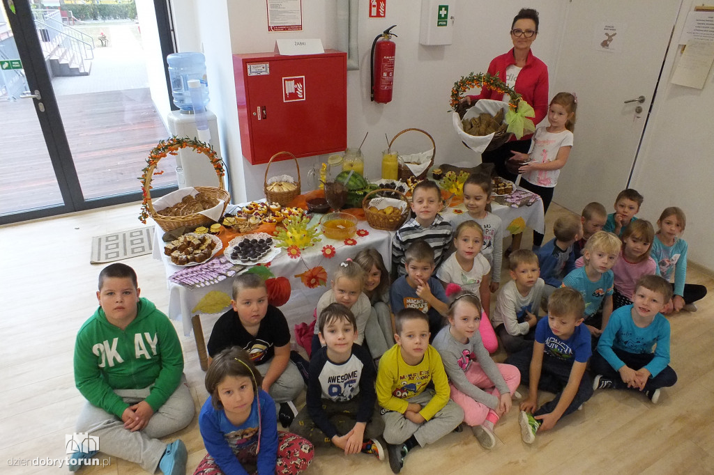 Piknik rodzinny w Przedszkolu Miejskim nr 15