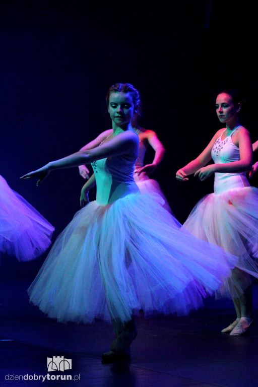 Złote Miotły w CKK Jordanki