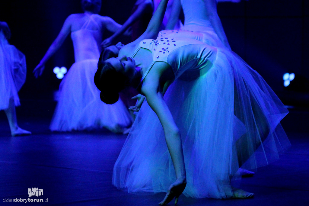 Złote Miotły w CKK Jordanki