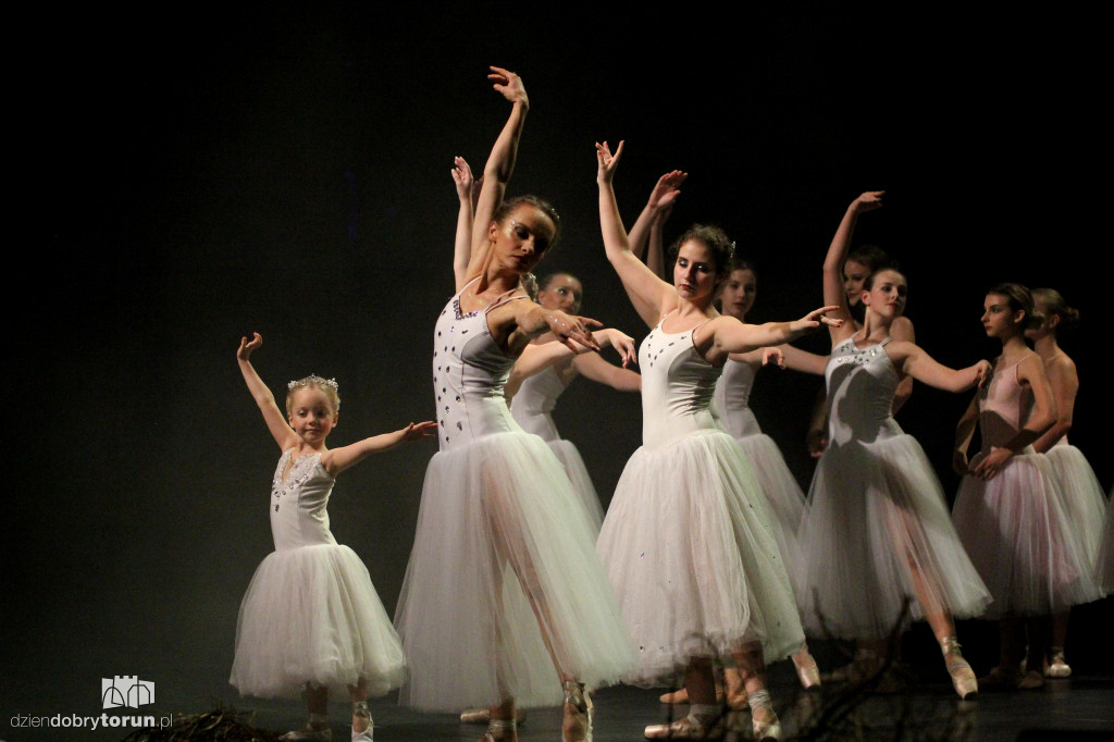 Złote Miotły w CKK Jordanki