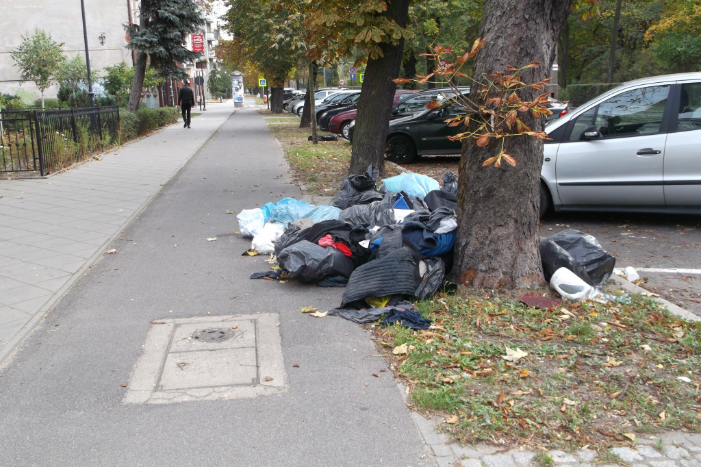 Co boli przeciętnego torunianina?