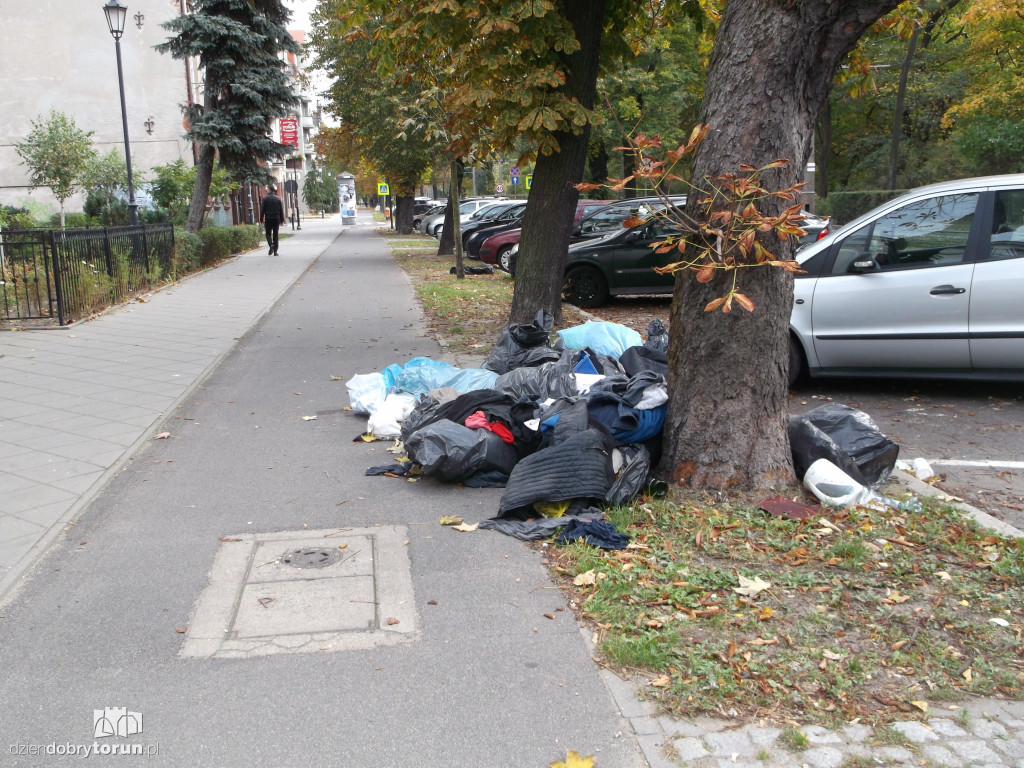 Co boli przeciętnego torunianina?