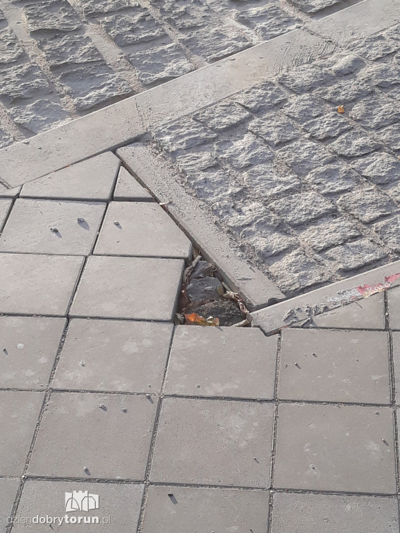 Niekompletna Szosa Chełmińska