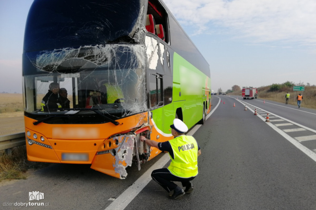 Groźny wypadek autobusu