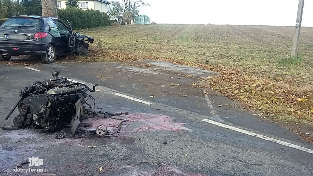 Samochodem uderzyła w drzewo