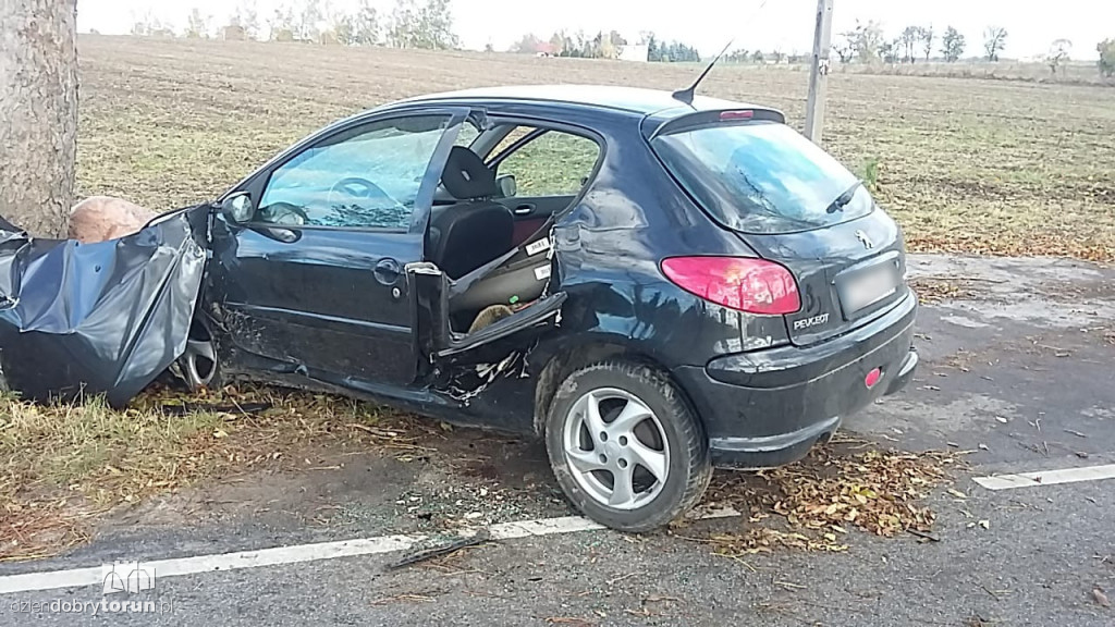 Samochodem uderzyła w drzewo