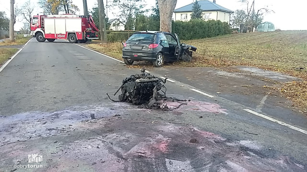 Samochodem uderzyła w drzewo