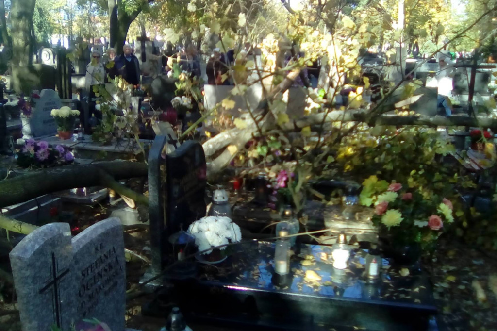 Konar spadł na pomnik na cmentarzu
