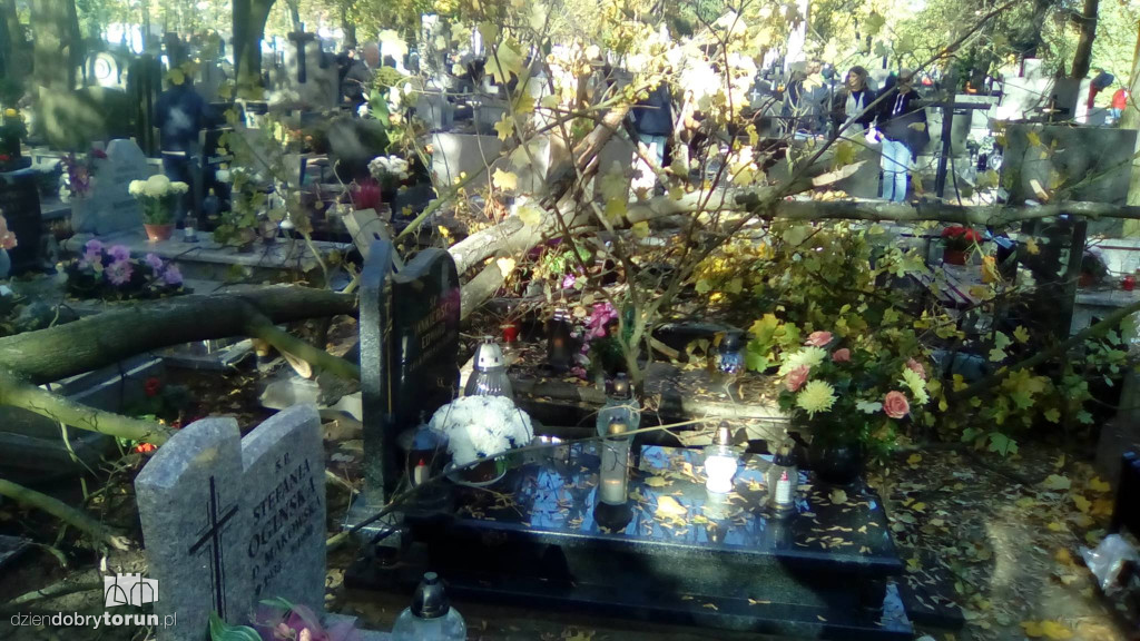 Konar spadł na pomnik na cmentarzu