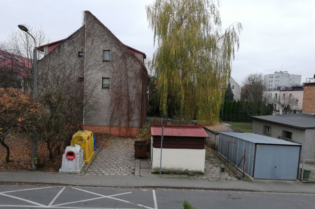 Wierzba przy Wąskiej nie daje spokoju