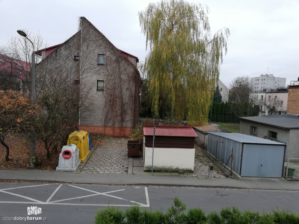 Wierzba przy Wąskiej nie daje spokoju