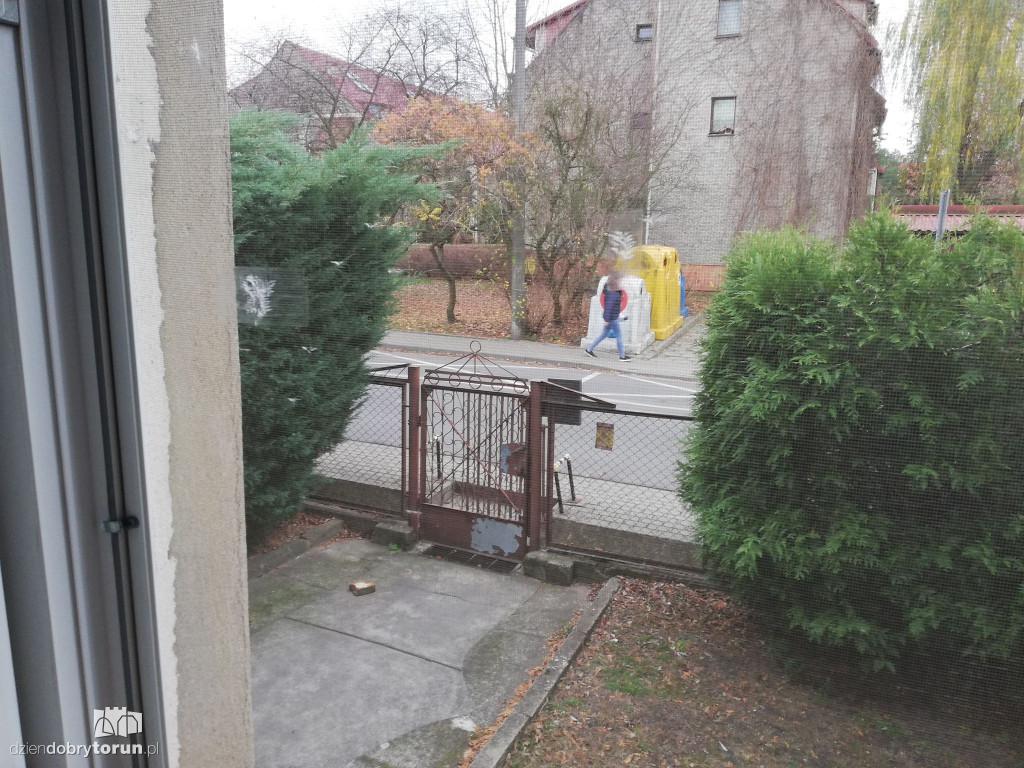 Wierzba przy Wąskiej nie daje spokoju