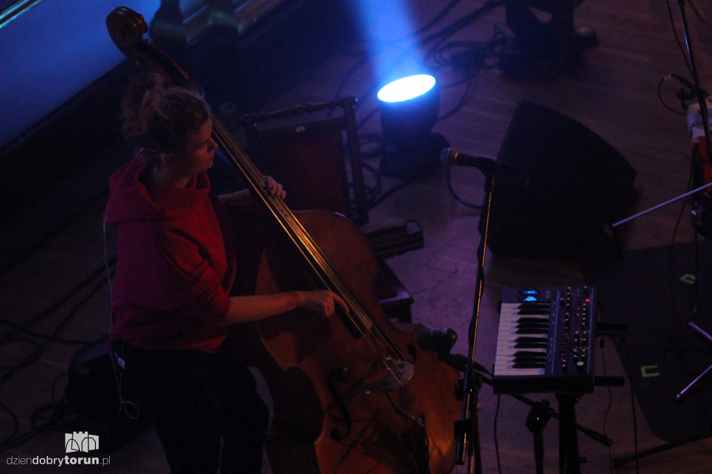 Artus Festival: Od Republiki do Lao Che