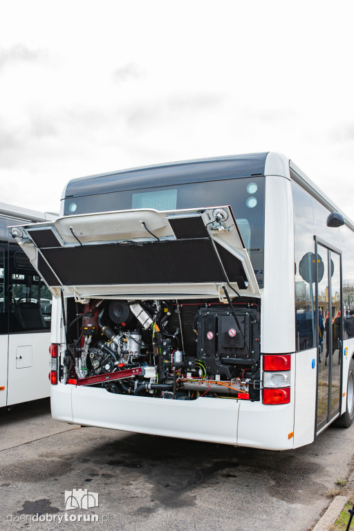 Nowe autobusy hybrydowe w MZK