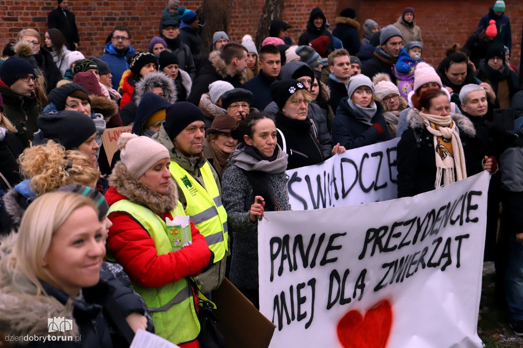 Marsz w obronie zwierząt