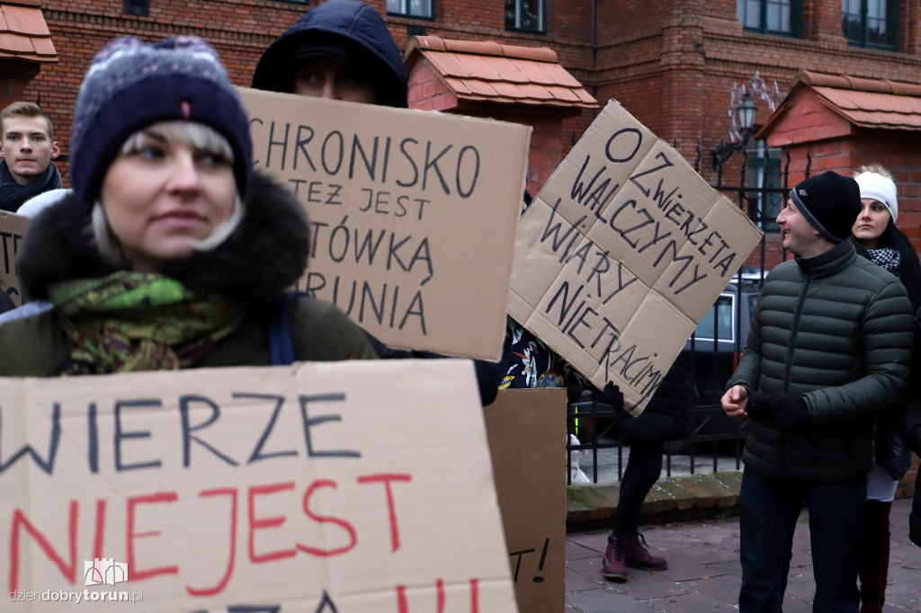 Marsz w obronie zwierząt