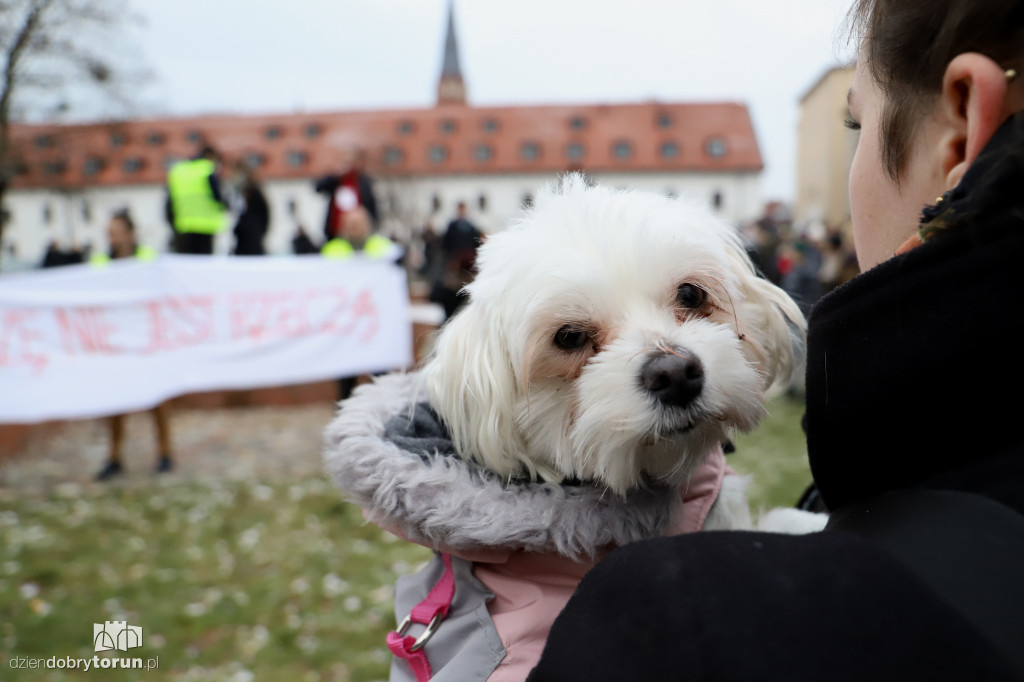 Marsz w obronie zwierząt
