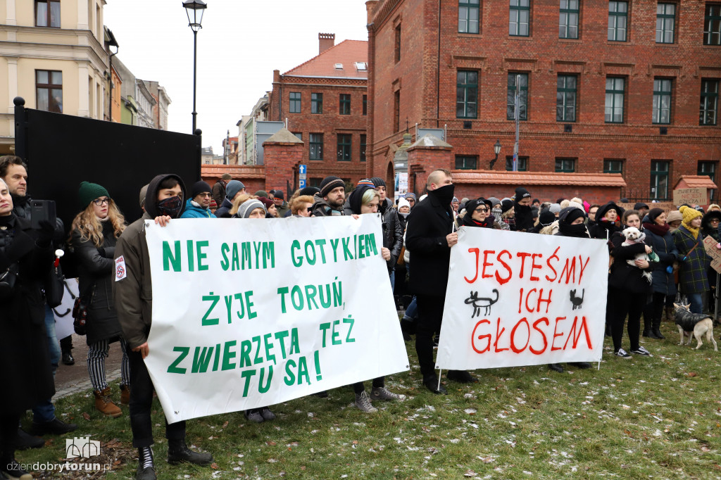 Marsz w obronie zwierząt