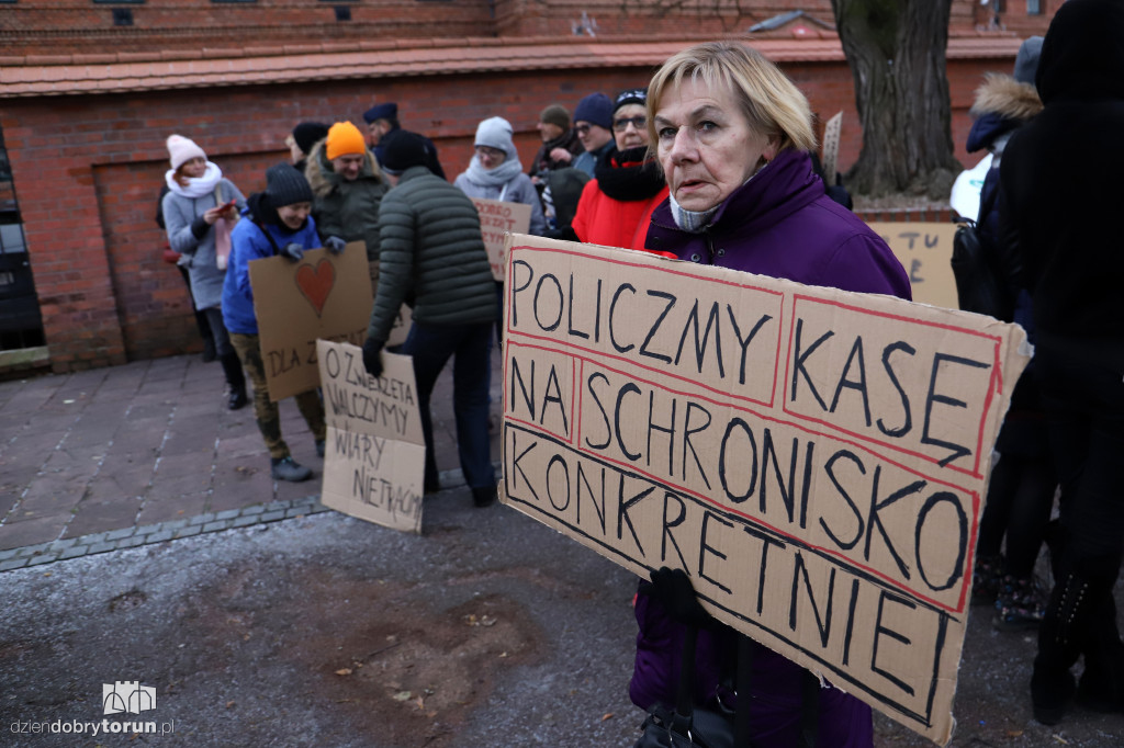 Marsz w obronie zwierząt
