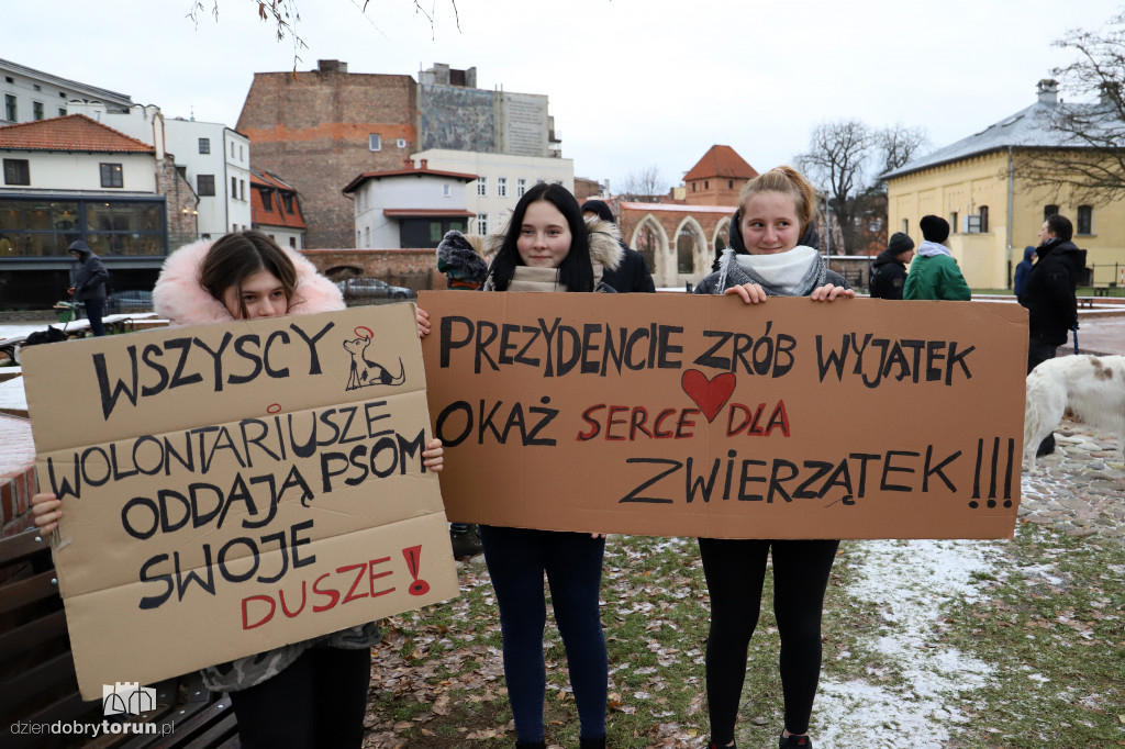 Marsz w obronie zwierząt