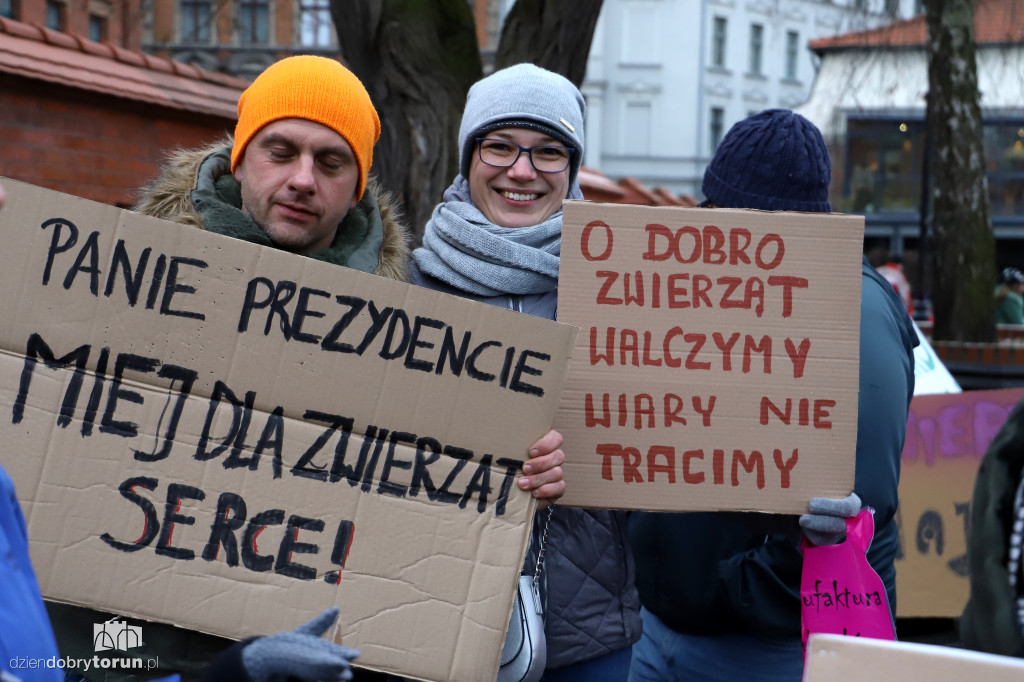 Marsz w obronie zwierząt