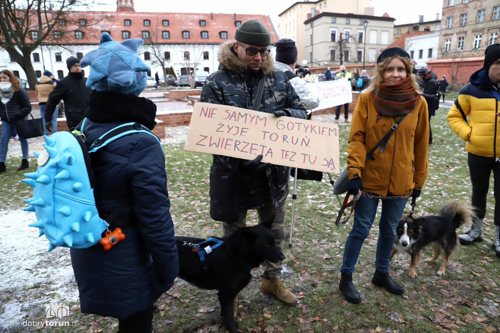 Marsz w obronie zwierząt