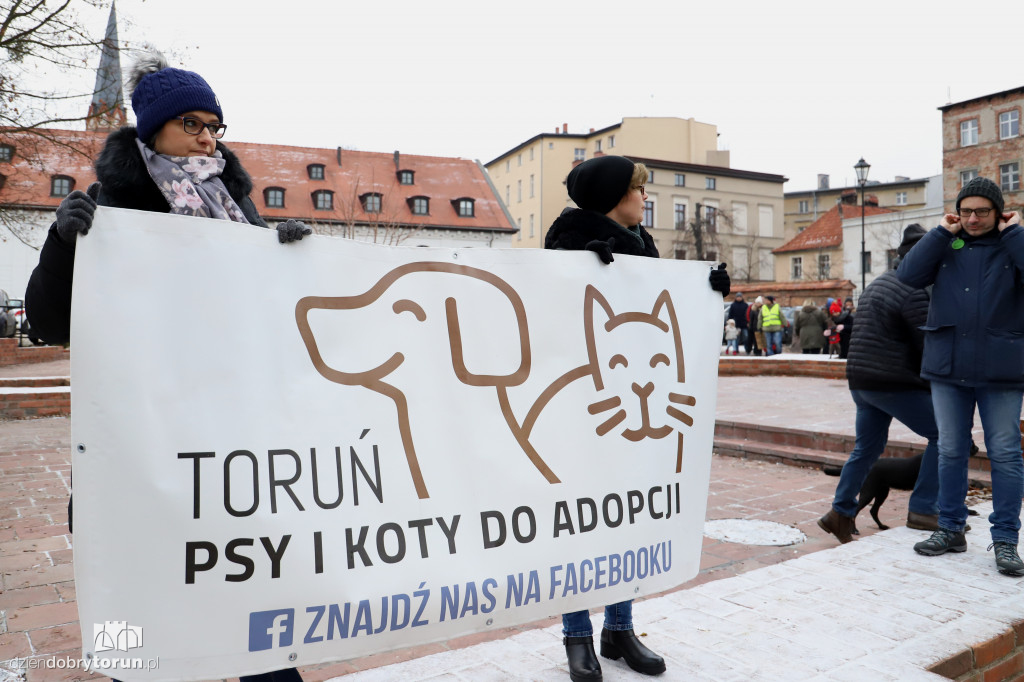 Marsz w obronie zwierząt