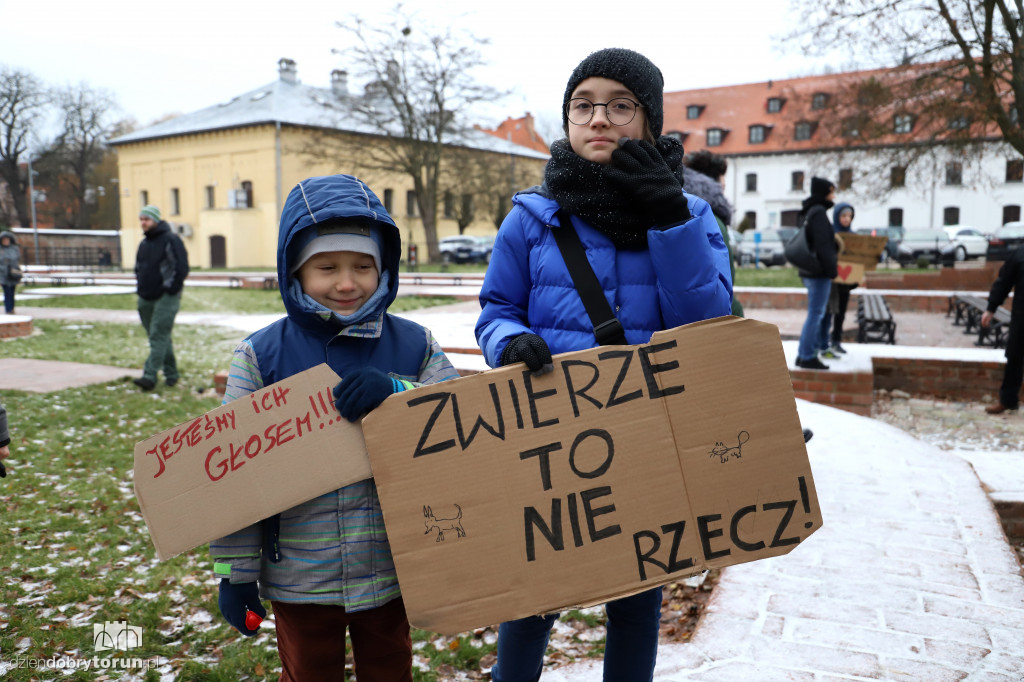 Marsz w obronie zwierząt
