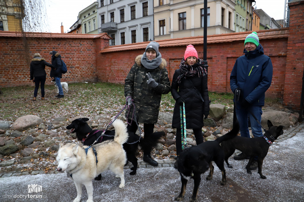 Marsz w obronie zwierząt