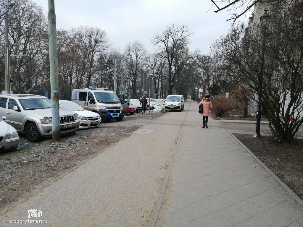 Mistrzowie parkowania z Torunia