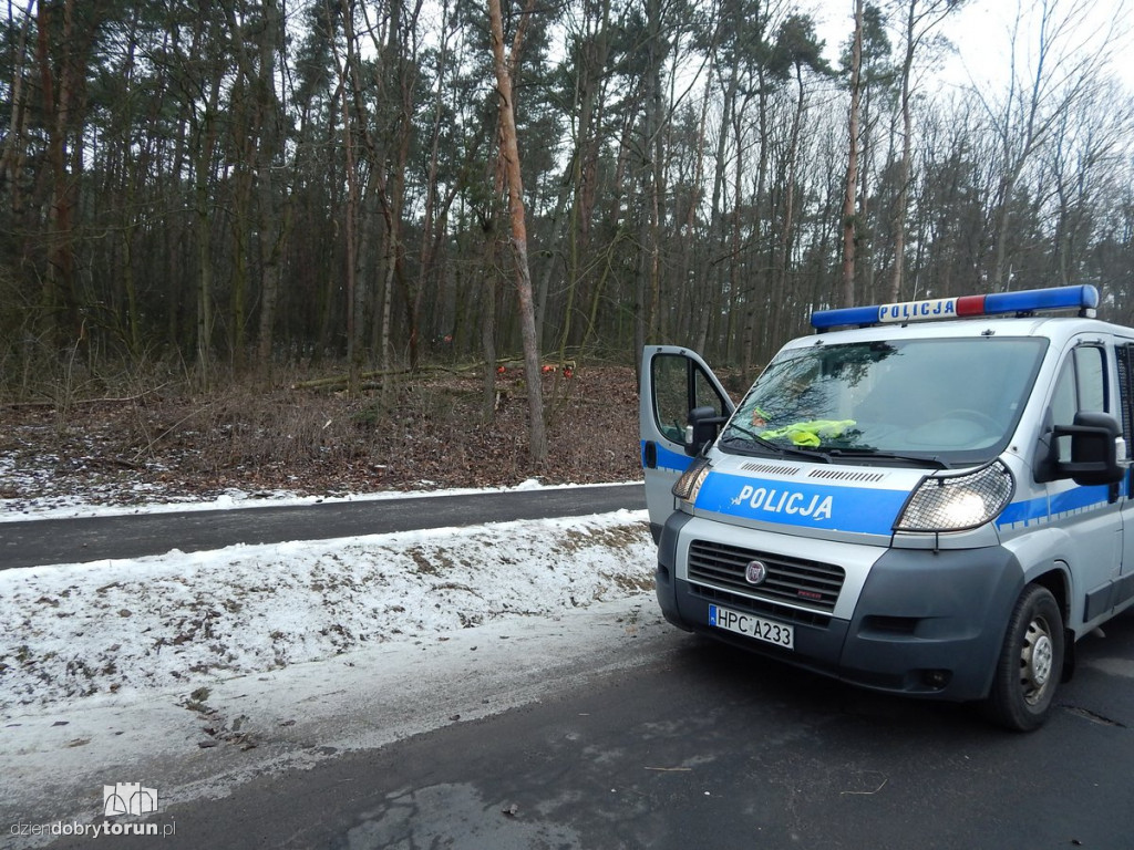 Wypadek w lesie. Na miejscu LPR