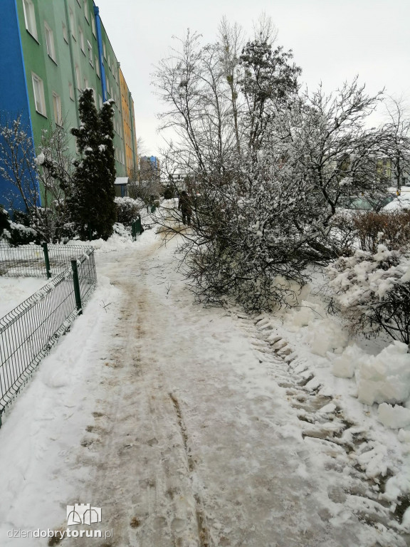 Powalone drzewo na Wyszyńskiego