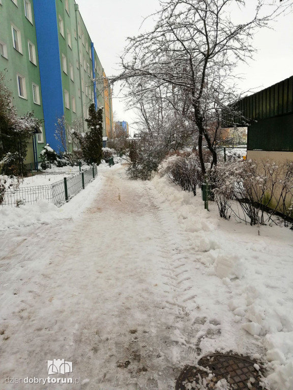 Powalone drzewo na Wyszyńskiego