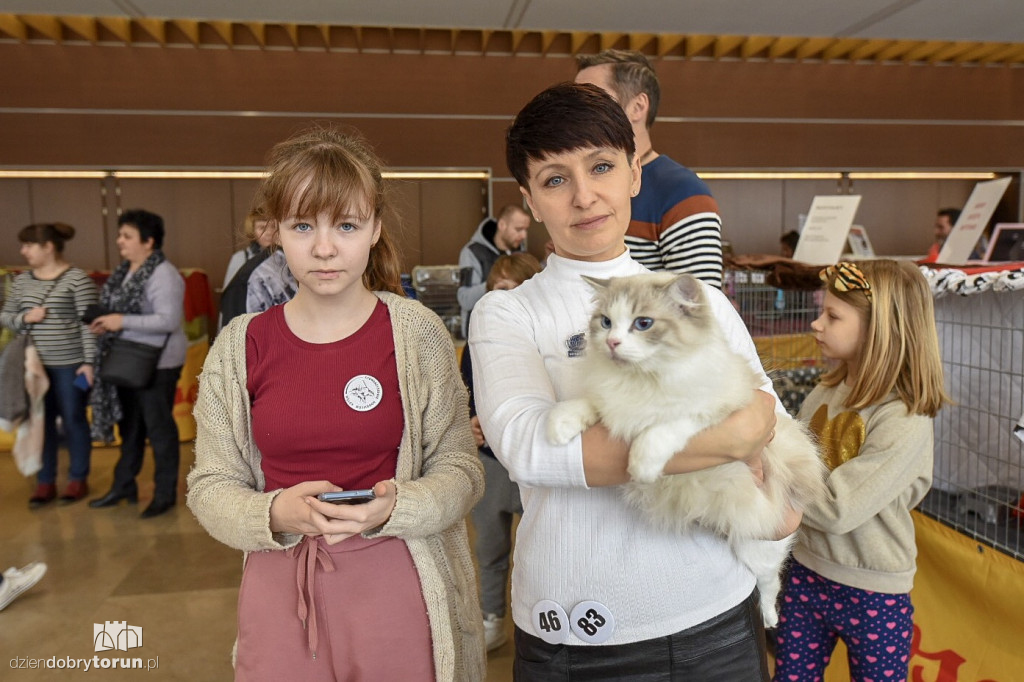 Wystawa Kotów Rasowych