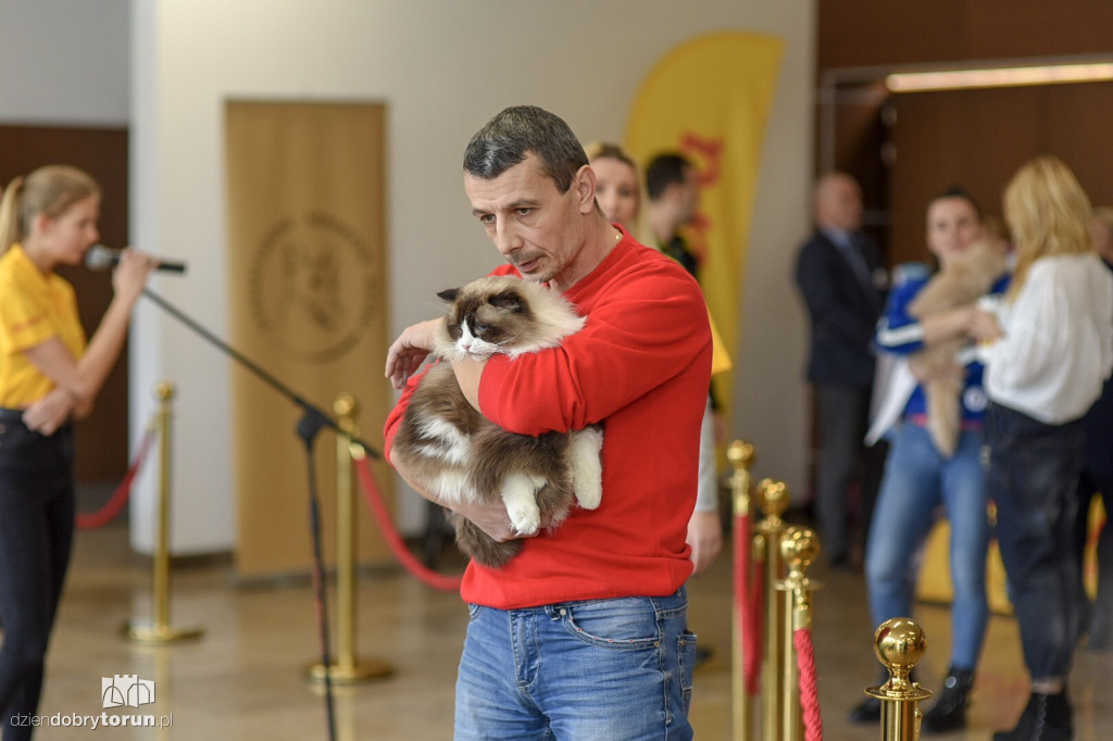 Wystawa Kotów Rasowych
