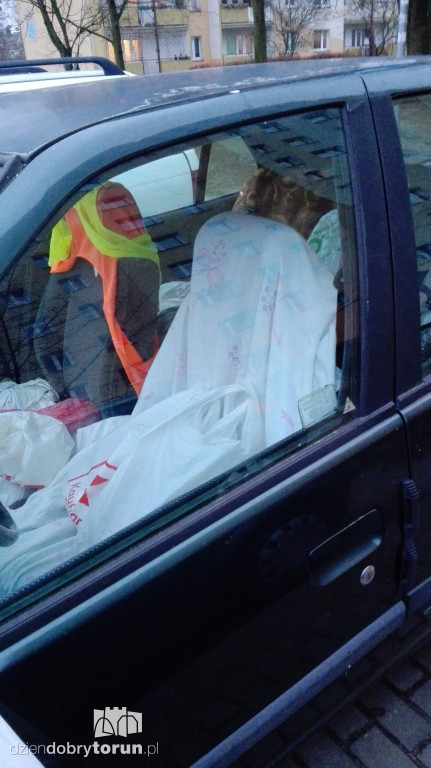 Niecodzienny widok przy Gałczyńskiego