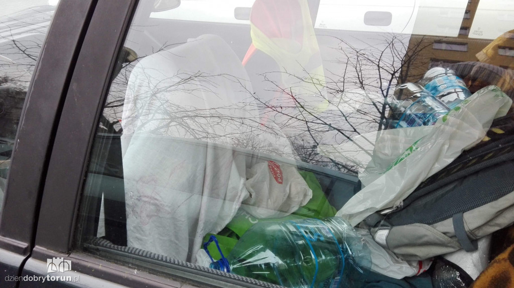Niecodzienny widok przy Gałczyńskiego