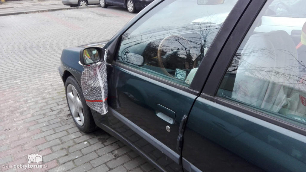 Niecodzienny widok przy Gałczyńskiego