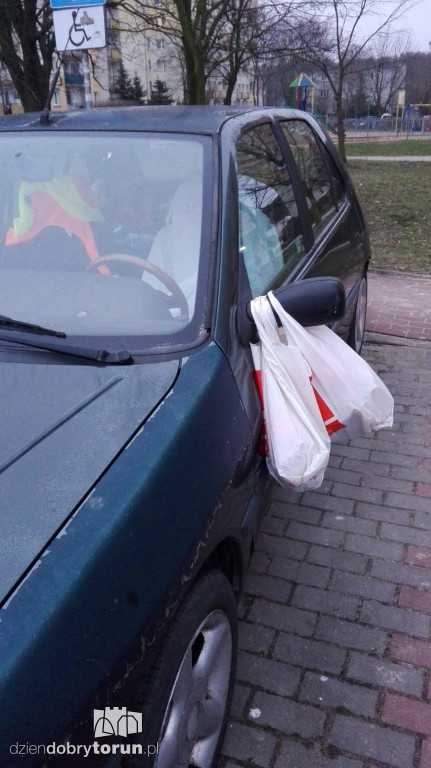 Niecodzienny widok przy Gałczyńskiego