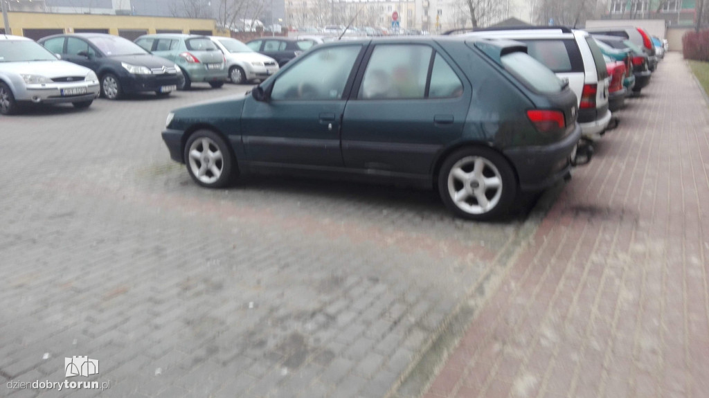 Niecodzienny widok przy Gałczyńskiego