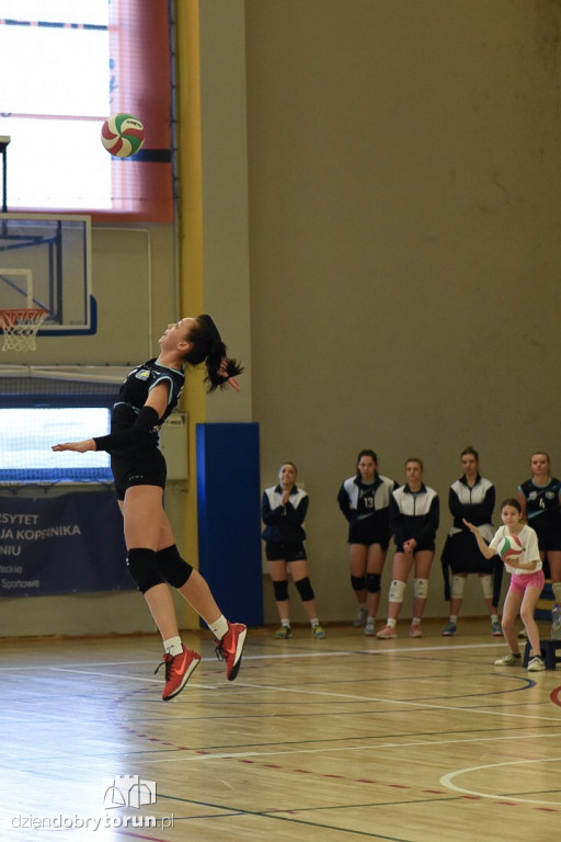 Budowlani Toruń - Szóstka Mielec
