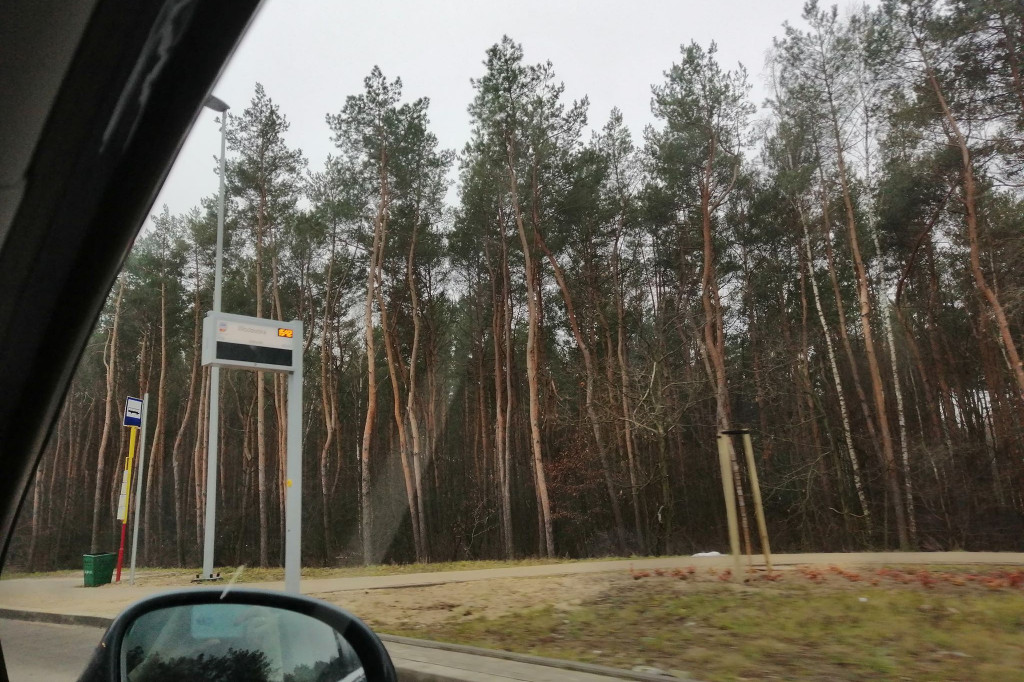 SIP na przystankach autobusowych