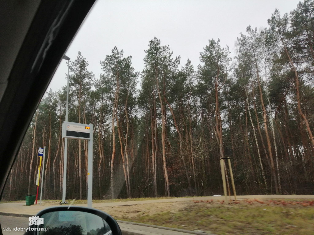 SIP na przystankach autobusowych