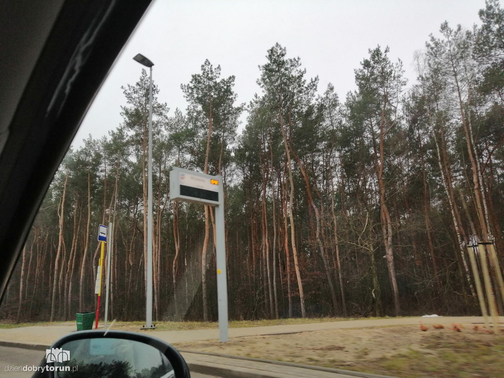 SIP na przystankach autobusowych
